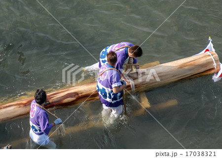 伊勢神宮　遷宮　御木曳　川曳き 17038321