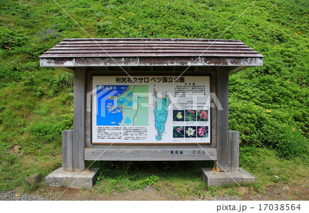 北海道 礼文島 スカイ岬の写真素材