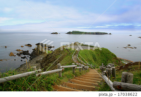 北海道　礼文島　スコトン岬 17038622