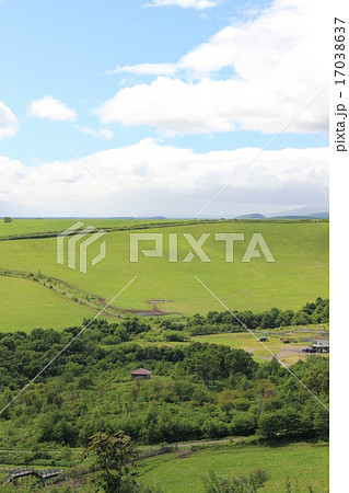 開陽台からの景色（遊歩道・小さくモアン山） 17038637