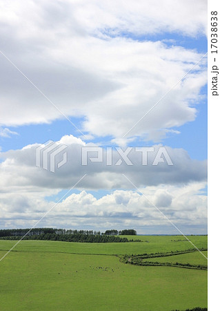 開陽台からの景色・開陽台牧場 開陽台からの景色・開陽台牧場 17038638