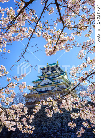 Osaka castle, Osaka, Japan 17038797