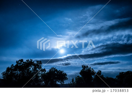 Full Moon night in the forest 17038853