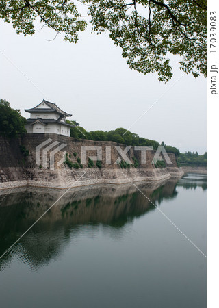 大阪城 南外堀 大阪城 南外堀 17039083