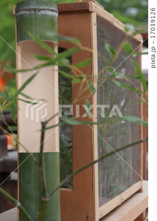 下鴨神社 蛍火の茶会 下鴨神社 蛍火の茶会 17039126