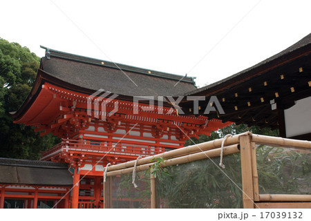 下鴨神社　蛍火の茶会 17039132