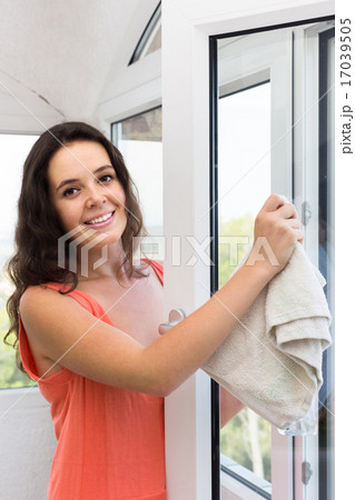 Housewife cleaning windows 17039505