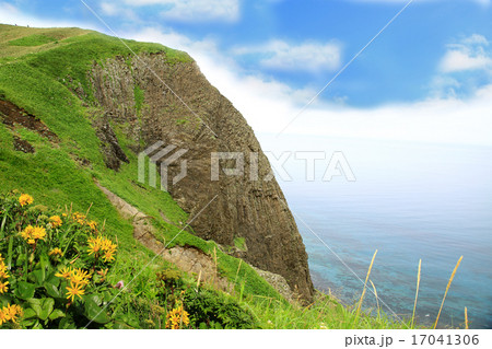 北海道 礼文島 岬めぐりトレッキング 北海道 礼文島 岬めぐりトレッキング 17041306