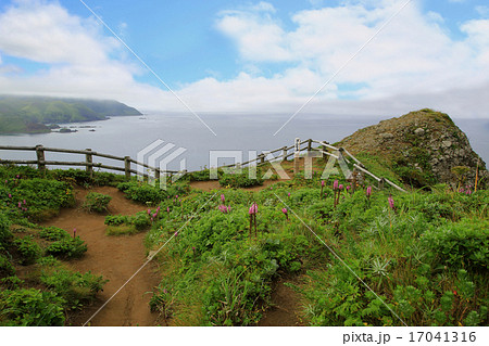 北海道　礼文島　岬めぐりトレッキング 17041316