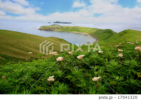 北海道　礼文島　岬めぐりトレッキング 17041320