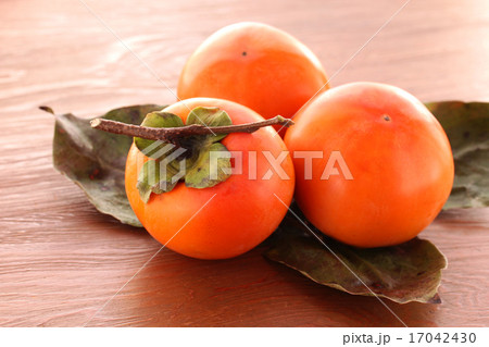 柿・丸ごと枝付き 柿・丸ごと枝付き 17042430