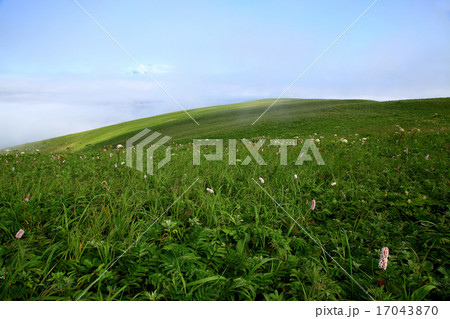 北海道 礼文島 トレッキング 北海道 礼文島 トレッキング 17043870