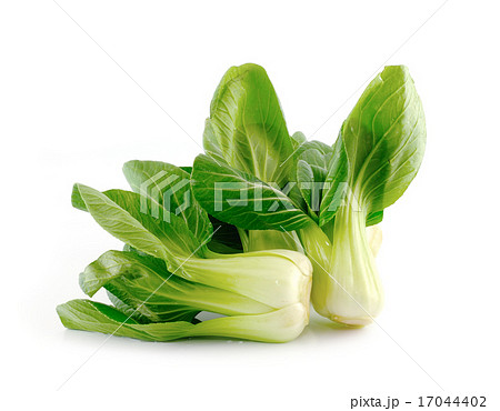 Bok choy (chinese cabbage) isolated on white Bok choy (chinese cabbage) isolated on white 17044402