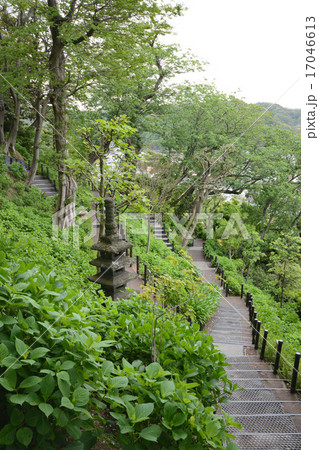 長谷寺 17046613