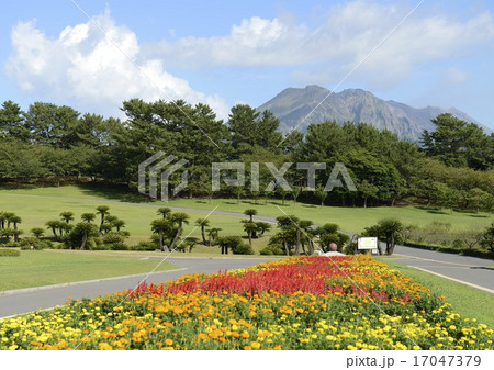 吉野公園からの桜島 17047379