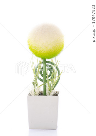 Close up of beautiful sphere shape flower Close up of beautiful sphere shape flower 17047923
