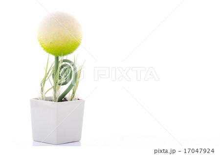 Close up of beautiful sphere shape flower Close up of beautiful sphere shape flower 17047924