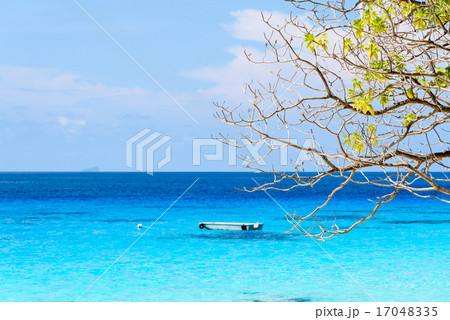 Beautiful blue sea at Koh Miang in Mu Koh Similan 17048335