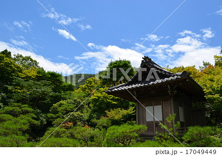 大河内山荘庭園　大乗閣 17049449