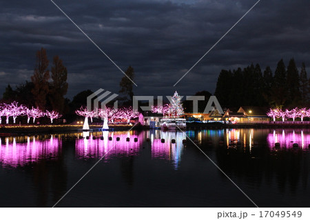 東武動物公園のイルミネーション 17049549
