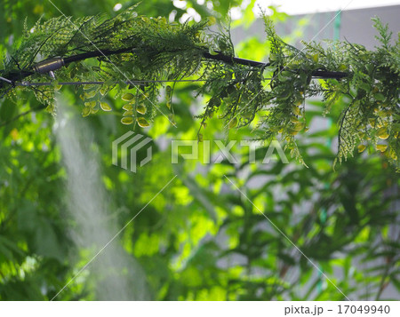 ミスト装置 17049940