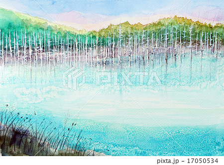 青い池のスケッチ 北海道観光 富良野の名所のイラスト素材 [17050534 