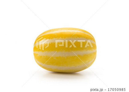 チャメ チャメ 17050985