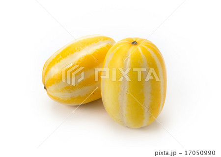 チャメ チャメ 17050990