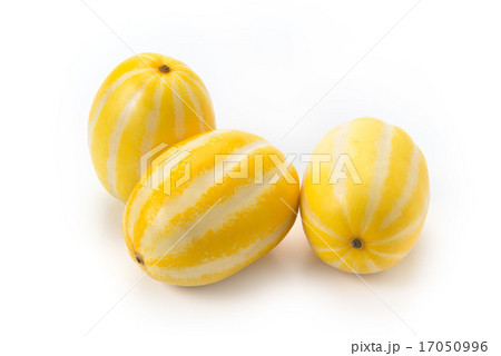 チャメ チャメ 17050996