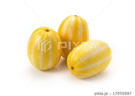 チャメ チャメ 17050997