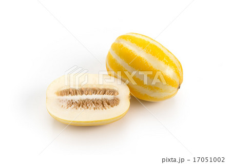 チャメ チャメ 17051002