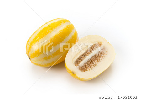 チャメ チャメ 17051003