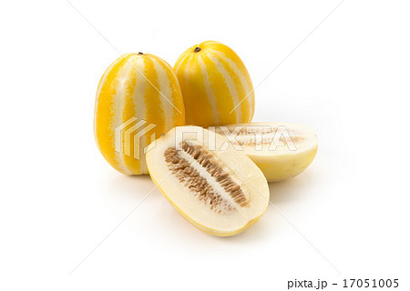 チャメ チャメ 17051005