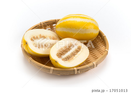 チャメ チャメ 17051013