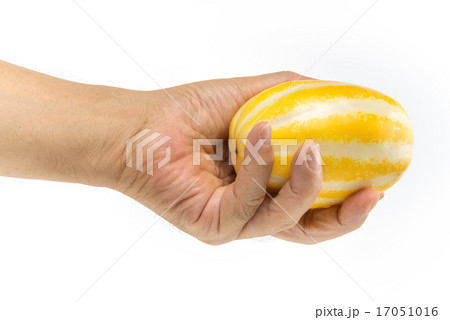 チャメ チャメ 17051016