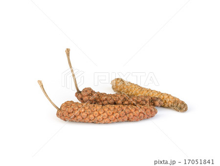 Long Pepper  . 17051841
