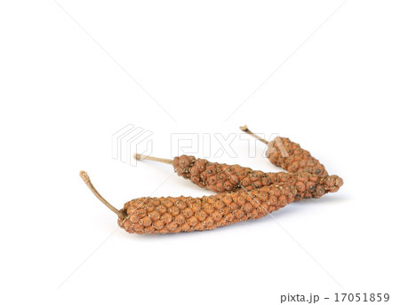 Long Pepper  . 17051859