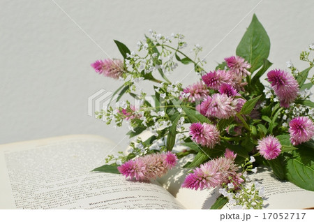 野ゲイトウとカラミンサの花束　 17052717