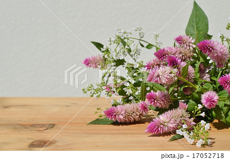 野ゲイトウとカラミンサの花束 野ゲイトウとカラミンサの花束 17052718