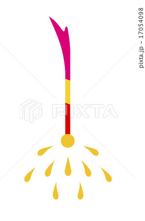 線香花火 17054098