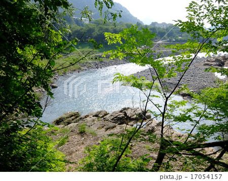 桂川の夏 17054157