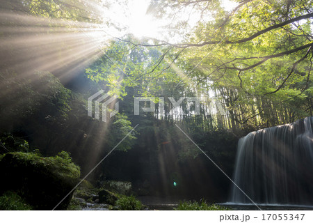 鍋ガ滝の光芒 17055347