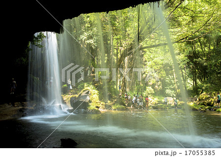 小国町の鍋ガ滝 17055385