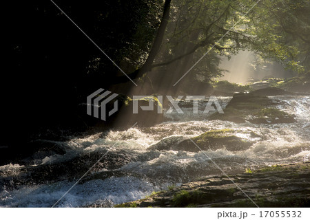 菊池渓谷の光芒 17055532
