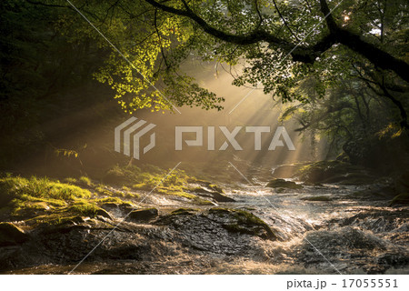 菊池渓谷の光芒 17055551