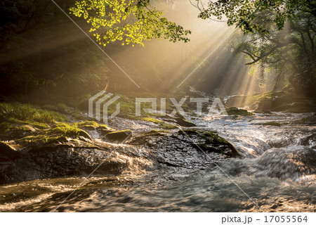 菊池渓谷の光芒 17055564