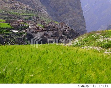 フォトクサル村（ラダック） 17056514