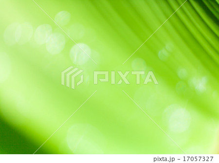 Beautiful bokeh background Beautiful bokeh background 17057327