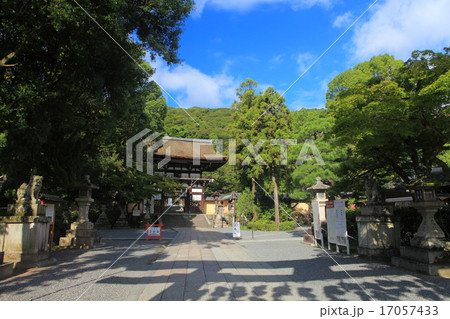 松尾大社 楼門 松尾大社 楼門 17057433