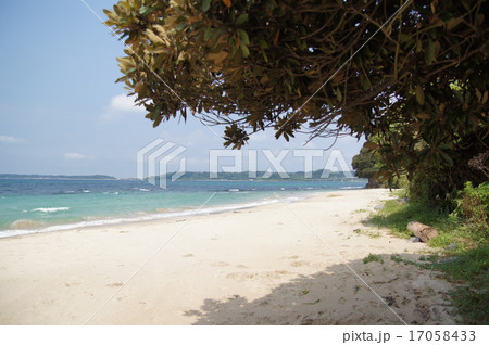 赤田海水浴場 17058433